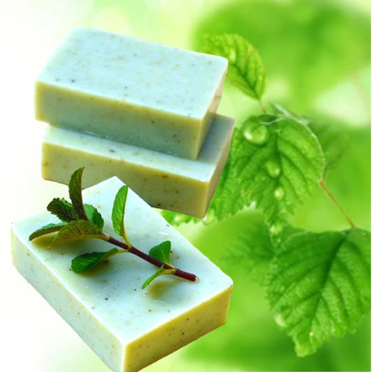 Arctic Awakening Peppermint Olive Oil Soap