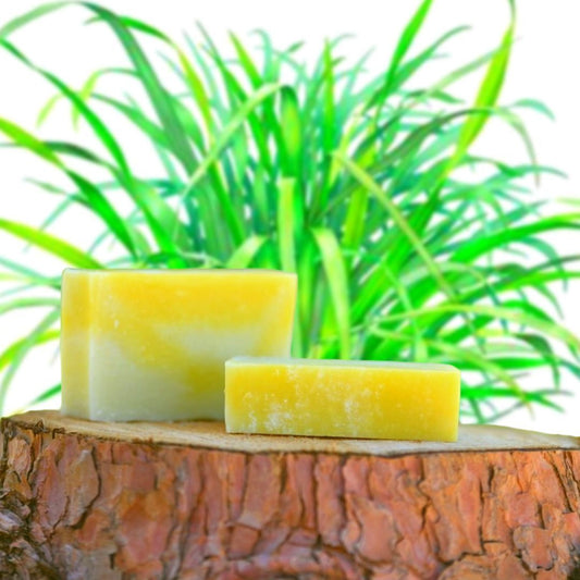 Citrus Splash Lemongrass Olive Oil Soap